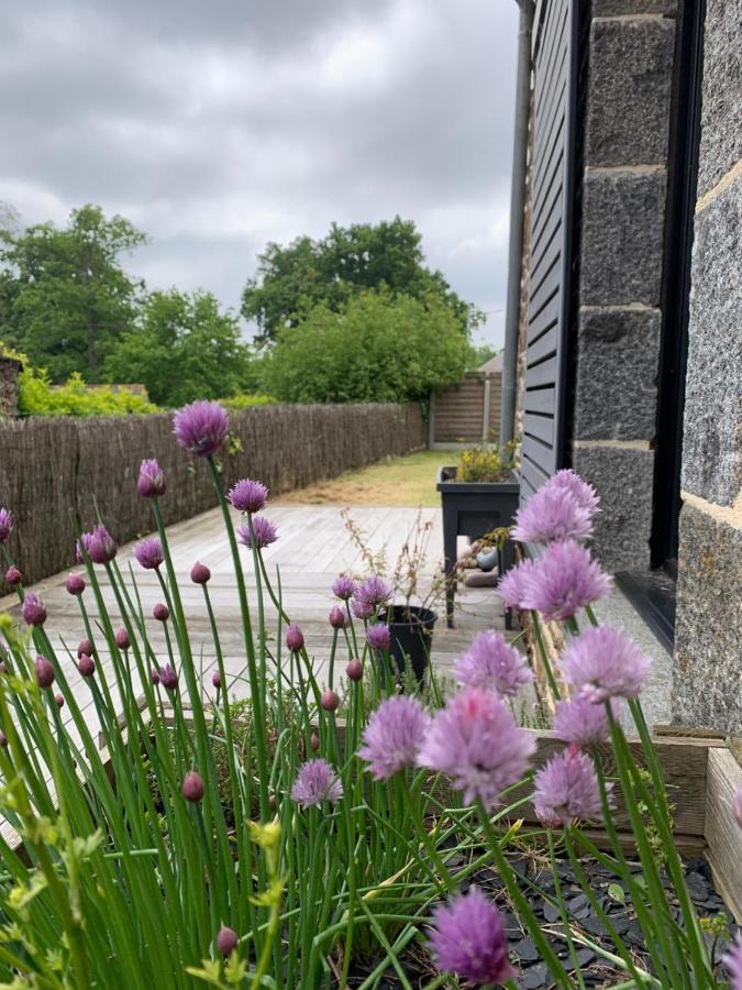 La Maison D'Aurelie Pleudihen-sur-Rance ภายนอก รูปภาพ