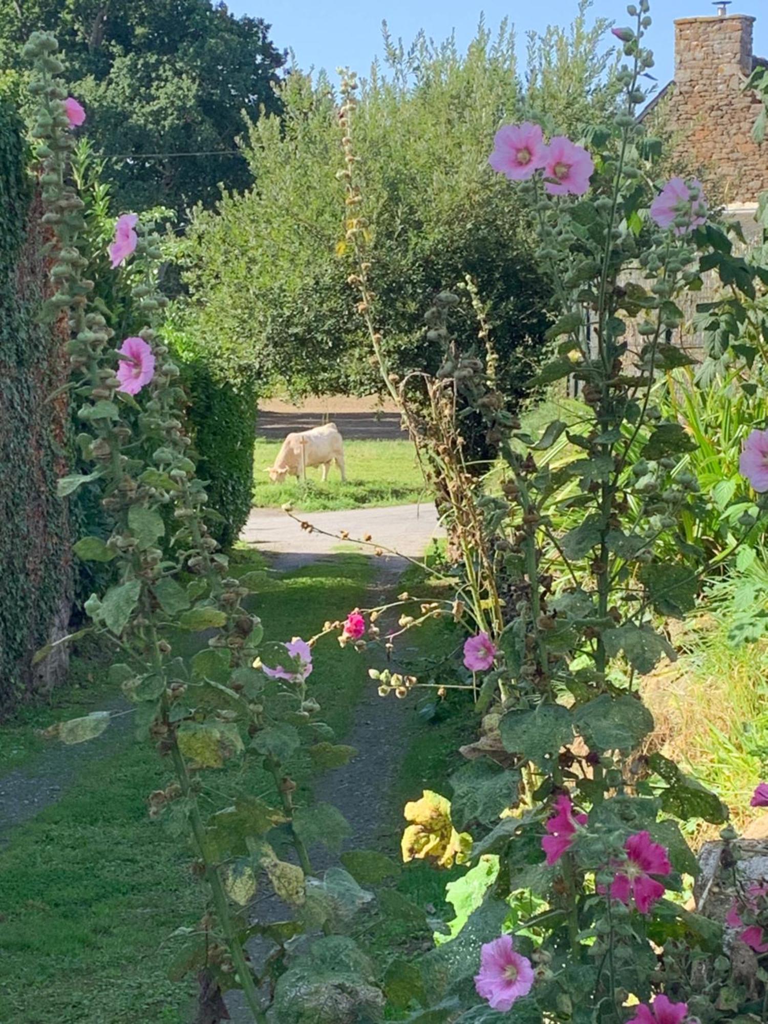 La Maison D'Aurelie Pleudihen-sur-Rance ภายนอก รูปภาพ